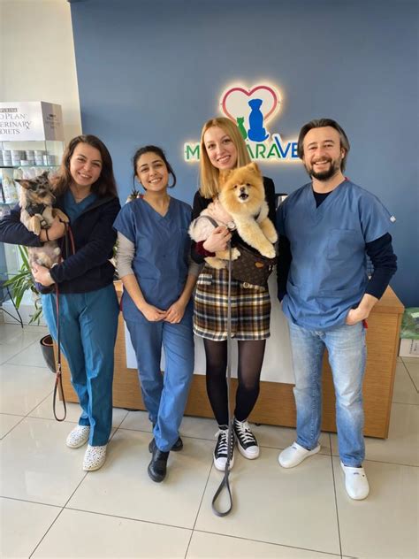 Marmara veteriner kliniği